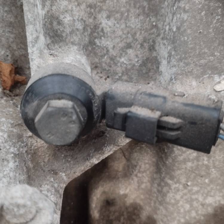 Peugeot 307 2004 Nakutustunnistin