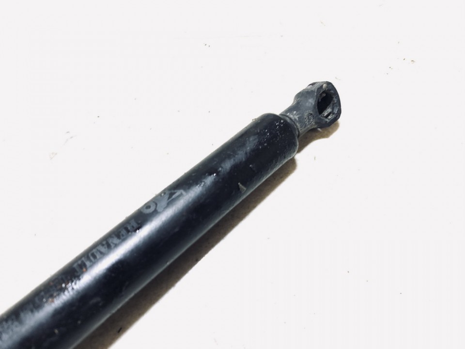 77008422568 Renault Clio 2002 Trunk Luggage Shock Lift Cylinder, Gas Pressure Spring - REAR - Thumbnail 2