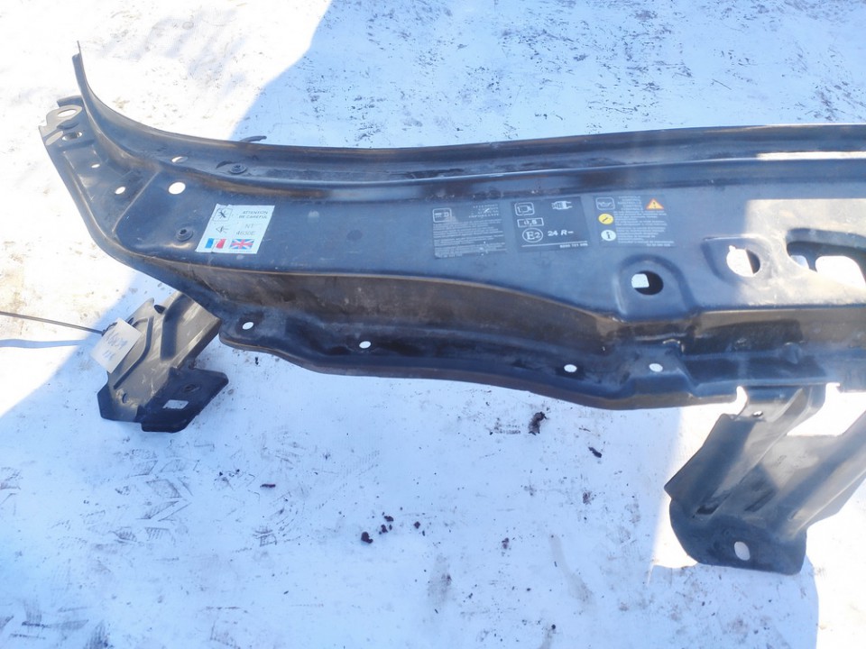 Renault Espace 2011 Obudowa telewizora - PRZEDNIE - Thumbnail 2