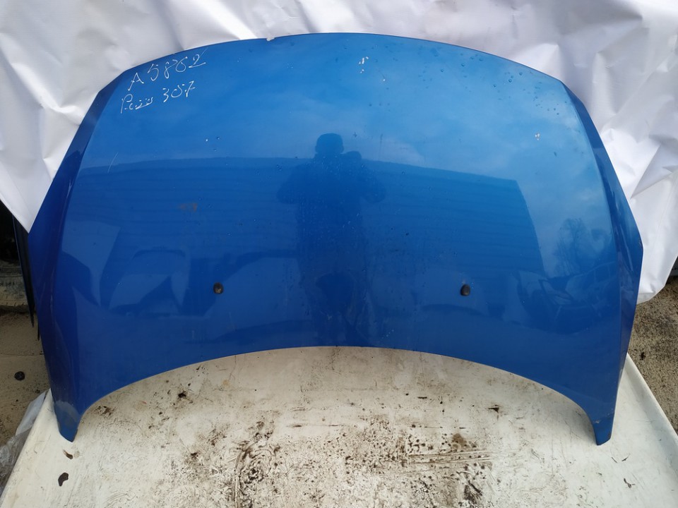 MELYNAS Peugeot 307 2007 Motorhaube Bonnet