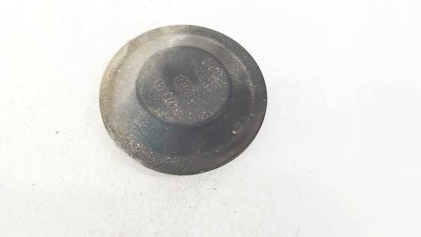 153874 Renault Espace 2004 Ajovalon Polttimon Pölykansi - EDESSÄ