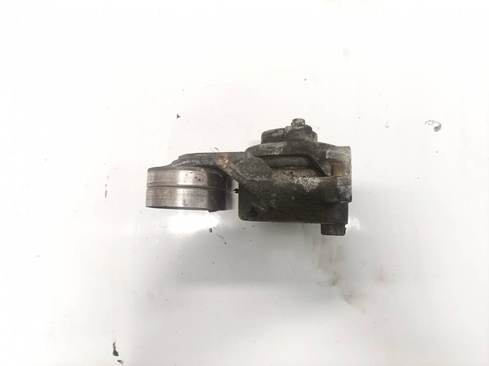 1550001 Mercedes-Benz R-CLASS 2006 Dirzo itempejas (Paskirstymo dirzo itempejas)