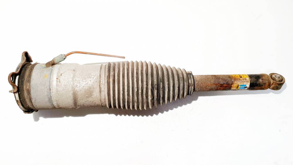 600635204A Tesla Model S 2014 Shock Absorber - Suspension Strut Assembly - REAR LEFT