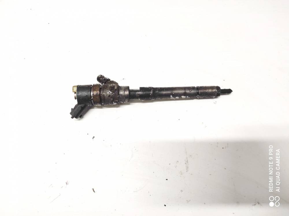Opel Antara 2010 Fuel Injector