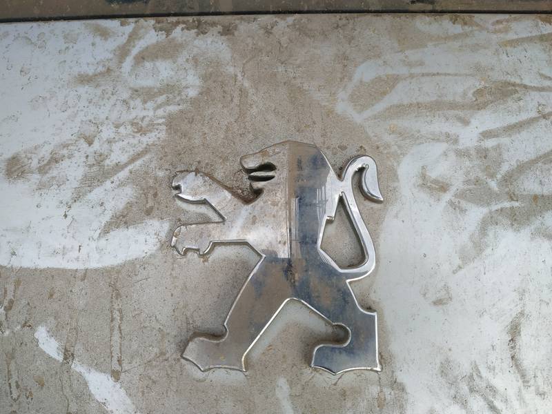 Peugeot 807 2004 Emblem - REAR