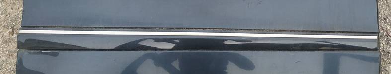 Mercedes-Benz C-CLASS 2003 Listón embellecedor de la puerta delantera (moldura) - DELANTERO DERECHO