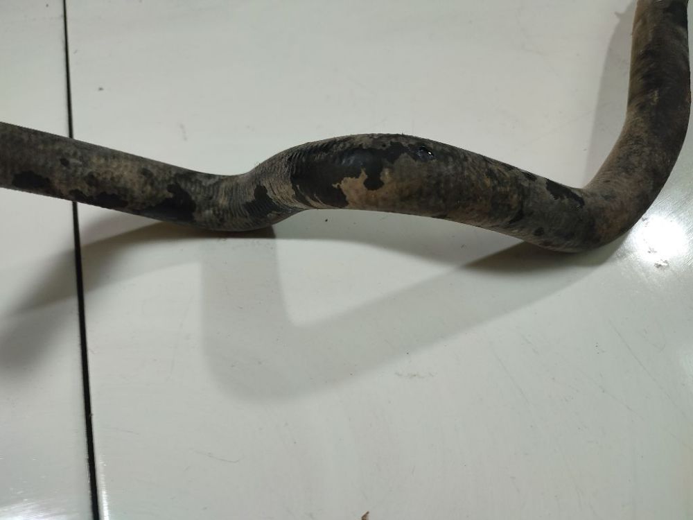 Seat Toledo 2002 Wąż wodny - Thumbnail 3