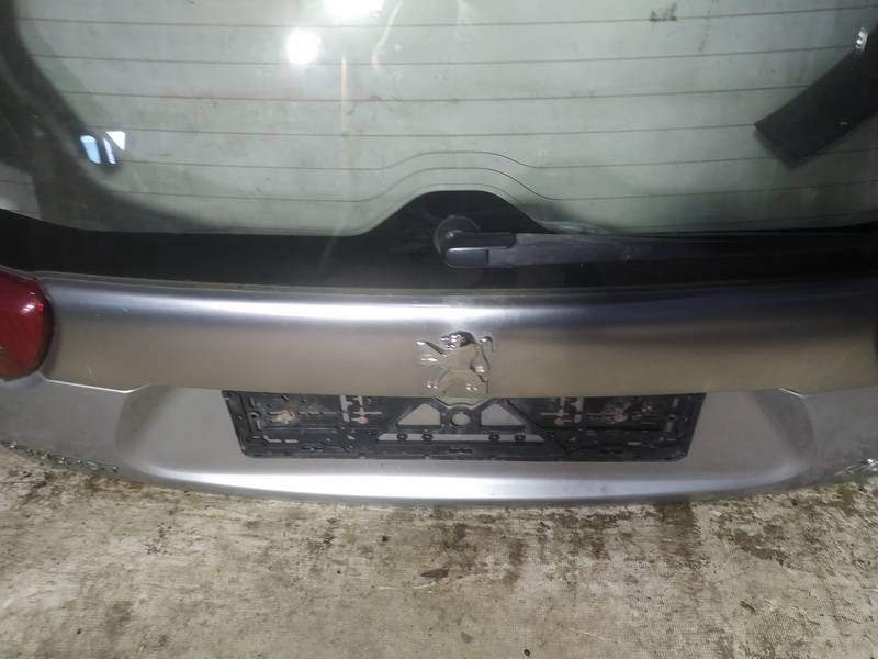 Peugeot 4007 2007 Galinio dangcio isorine apdaila (numerio apsvietimas) G.