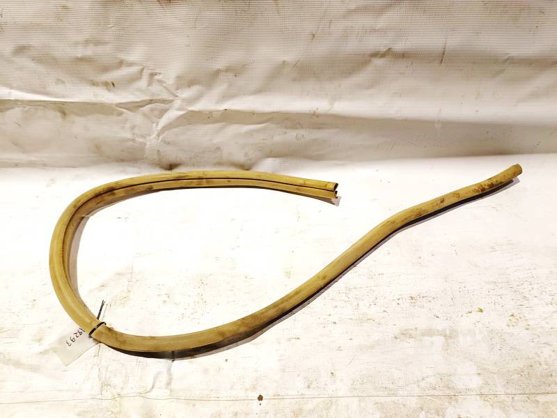 A2196970351 Mercedes-Benz CLS-CLASS 2006 Duru Guma G.K.