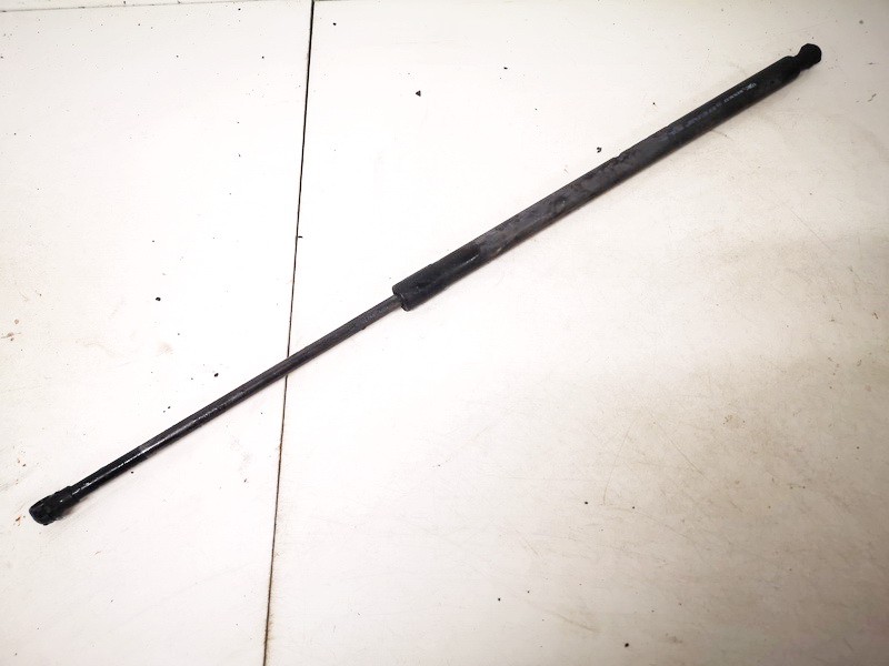 904517337R Renault Grand Scenic 2010 Galinio Dangcio amortizatorius G. (kapoto)