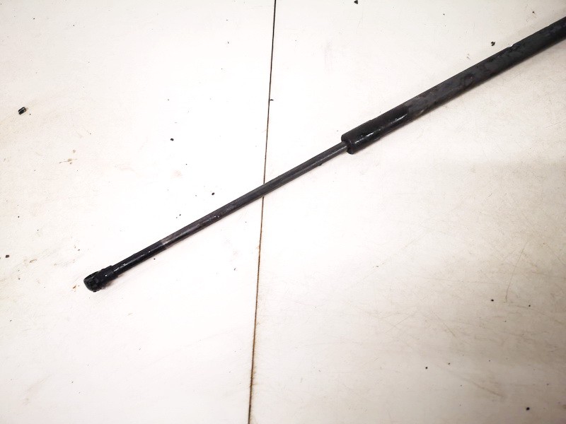 904517337R Renault Grand Scenic 2010 Galinio Dangcio amortizatorius G. (kapoto) - Thumbnail 2