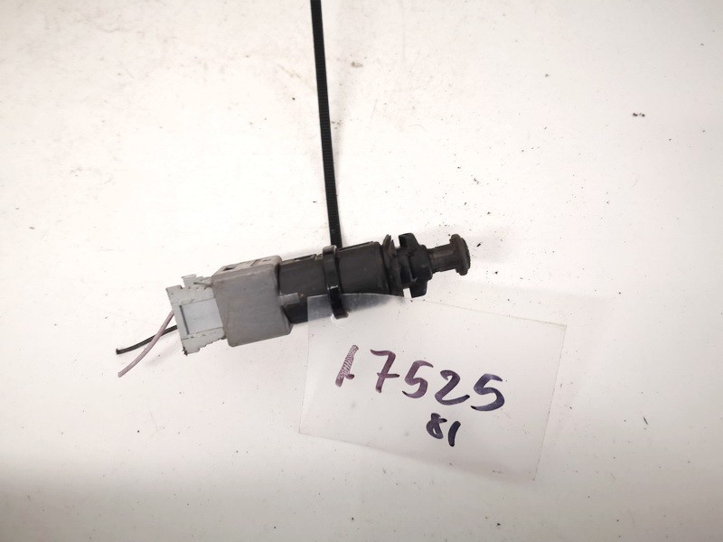 110894 Renault Laguna 2002 Stabdziu zibintu daviklis (rele-varlyte) - Thumbnail 3