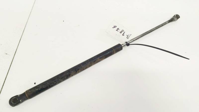 30634580 Volvo XC 90 2003 Trunk Luggage Shock Lift Cylinder, Gas Pressure Spring - REAR