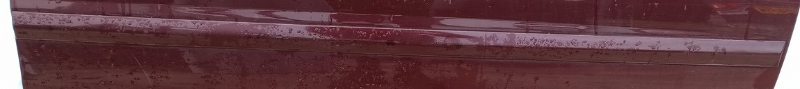 RAUDONA Opel Vectra 2004 Molding door - FRONT RIGHT