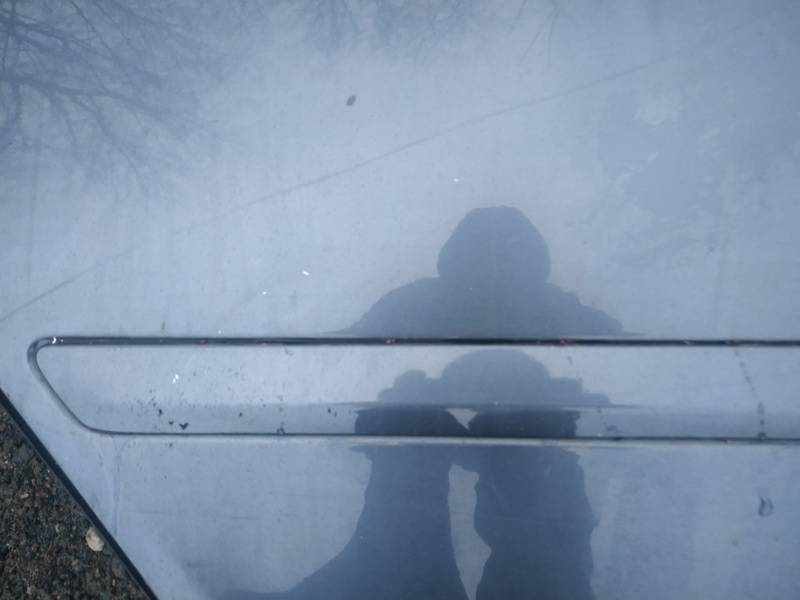 Skoda Octavia 2012 Molding door - REAR RIGHT side - Thumbnail 2