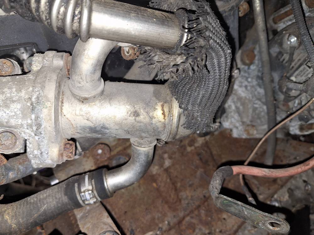 Fiat Doblo 2004 AGR Kühler (Abgaskühler) - Thumbnail 3