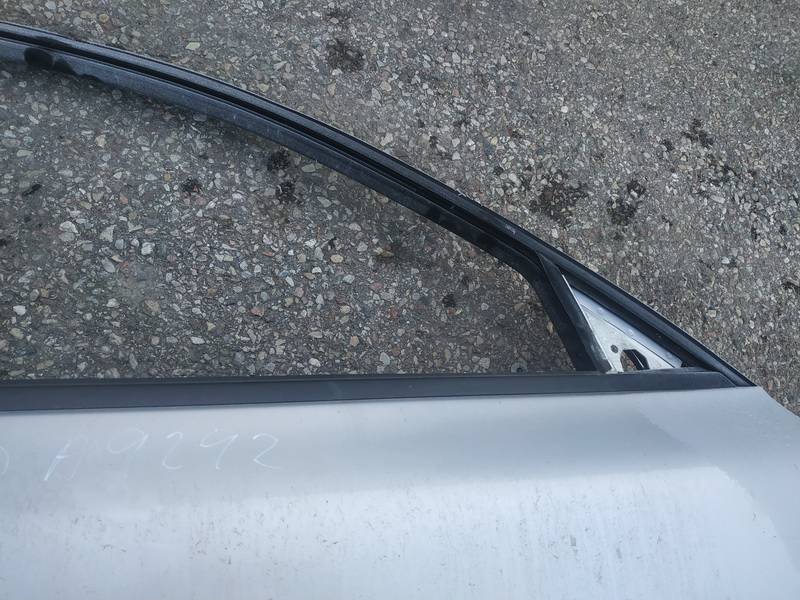 Volkswagen Passat 1997 Glass Trim Molding-weatherstripping - FRONT RIGHT - Thumbnail 3