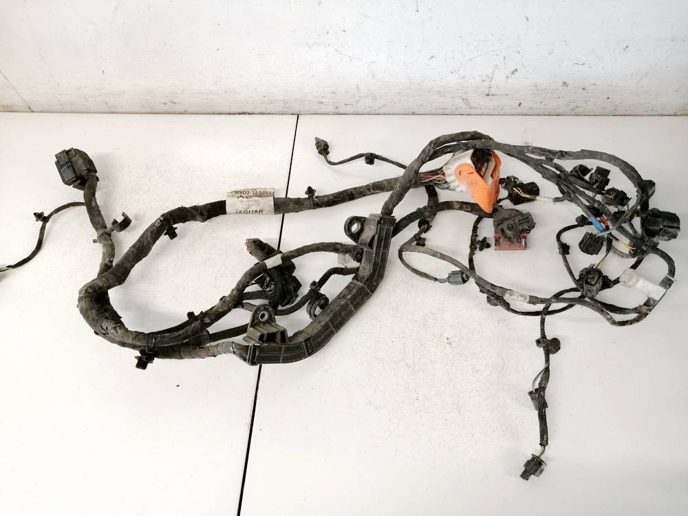 50310554000 Jaguar I-Pace 2021 Vadu pinumi un vadu komplekti