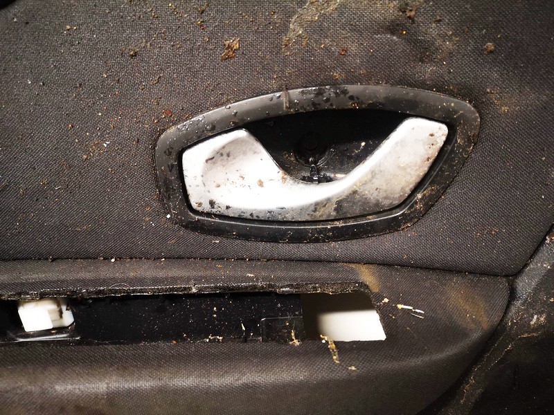 826730001R Renault Grand Scenic 2010 Duru vidine rankenele P.K.