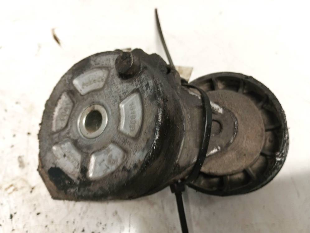 16183P Citroen C-Crosser 2008 Jostas spriegotājs (sadales jostas spriegotājs) - Thumbnail 3