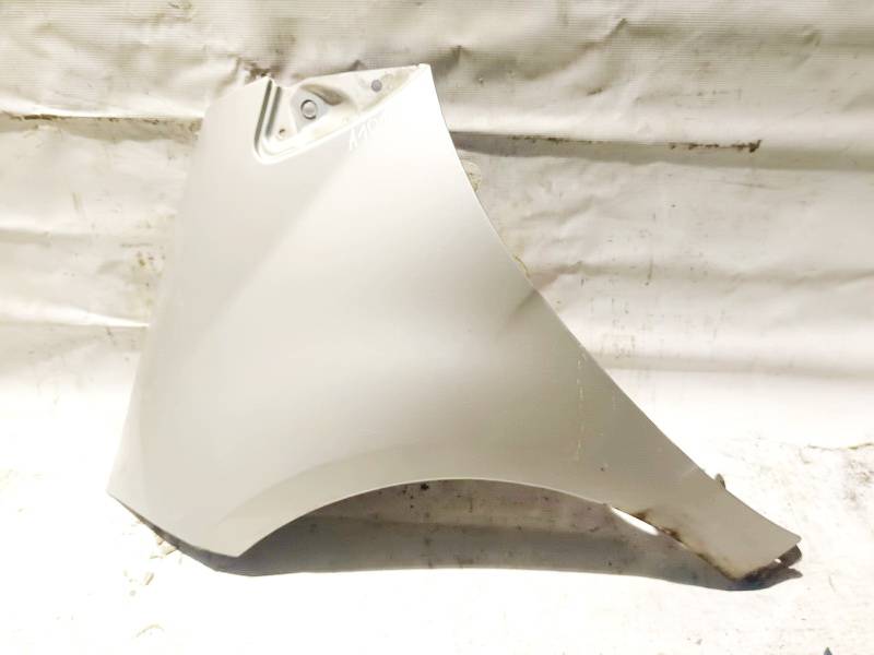SIDABRINE Mercedes-Benz A-CLASS 2007 Fender (Arch) - FRONT LEFT