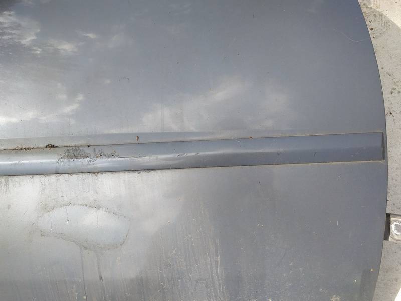 Opel Signum 2003 Molding door - FRONT RIGHT - Thumbnail 3