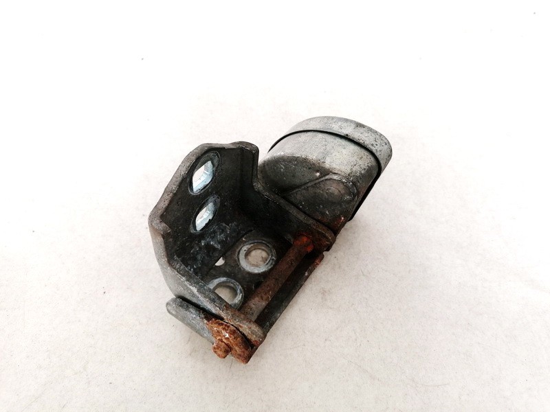 Renault Scenic 2003 Galiniu duru vyris G. - Thumbnail 3