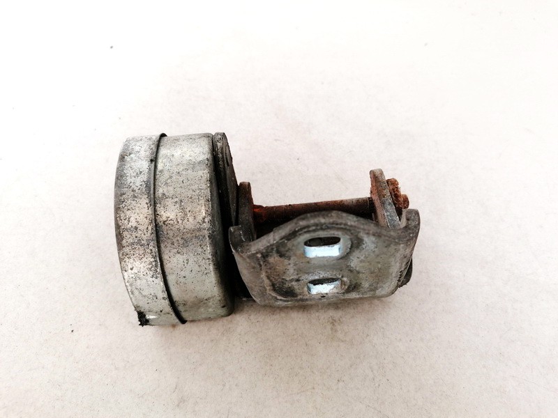 Renault Scenic 2003 Galiniu duru vyris G. - Thumbnail 2