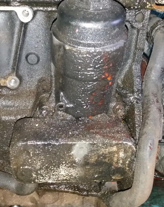 Opel Vectra 1999 Tepalo filtro korpusas