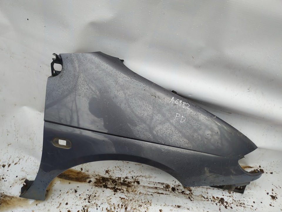 VIOLETINIS Renault Scenic 1999 Sparnas P.D.