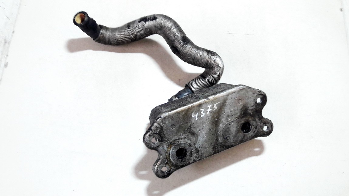 31201911 Volvo V70 2007 Tepalo ausintuvas