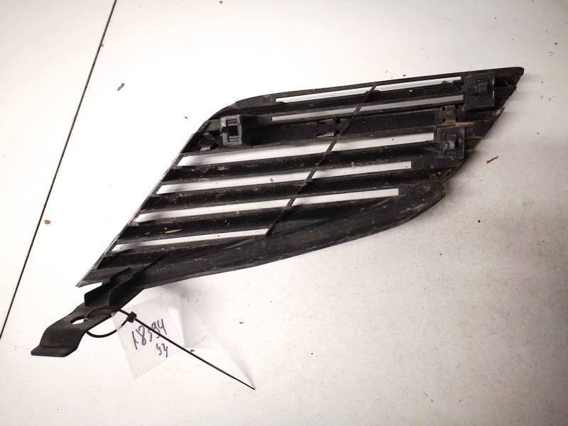 62320AU300 Nissan Primera 2003 Hood grille - FRONT - Thumbnail 2