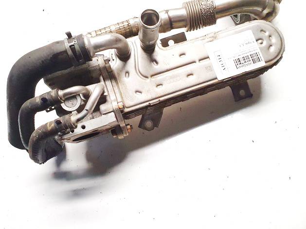 038131513AD Volkswagen Passat 2007 Chłodnica EGR (chłodnica spalin EGR)