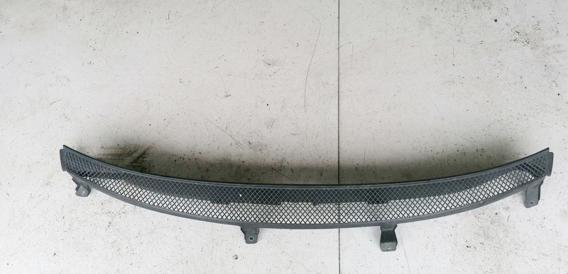 1490746077 Fiat Ulysse 2003 Wiper Muolding - FRONT