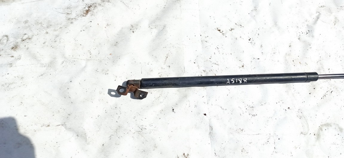 Chrysler Pacifica 2004 Hood Support (strut hood) - FRONT - Thumbnail 2