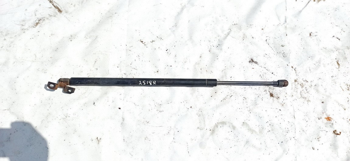 Chrysler Pacifica 2004 Hood Support (strut hood) - FRONT