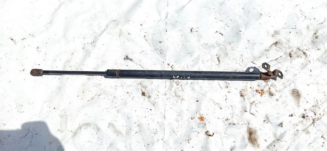 Chrysler Pacifica 2004 Hood Support (strut hood) - FRONT