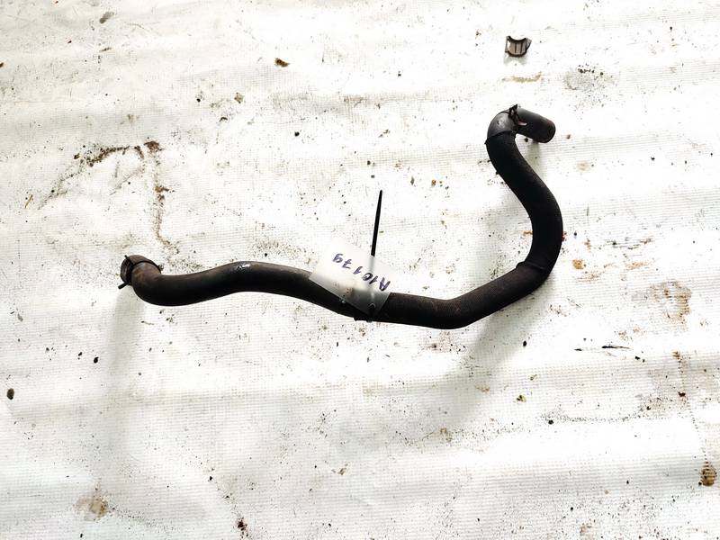 Renault Clio 2004 Wąż wodny