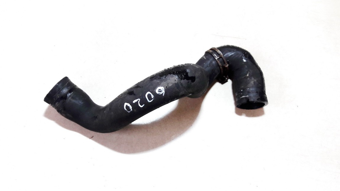 Ford Focus 2005 Vandens vamzdelis