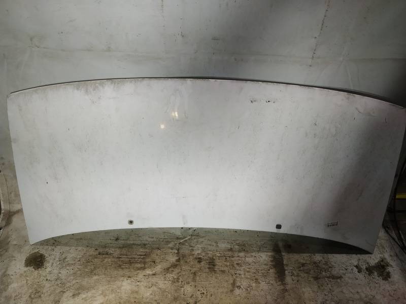 BALTAS Fiat Scudo 2001 Hood