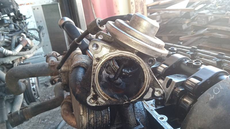 038131501AF Volkswagen Golf 2004 EGR Valve Exhaust Gas