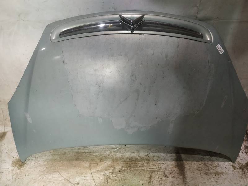 ZALIAS Citroen Xsara Picasso 2000 Hood - Thumbnail 2
