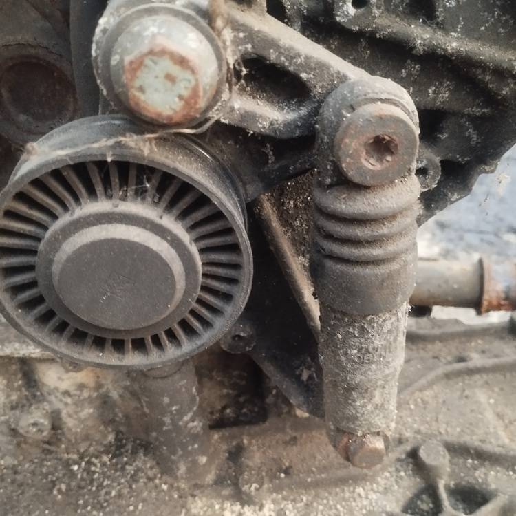 Audi A6 2005 TENSOR CORREA AUXILIAR