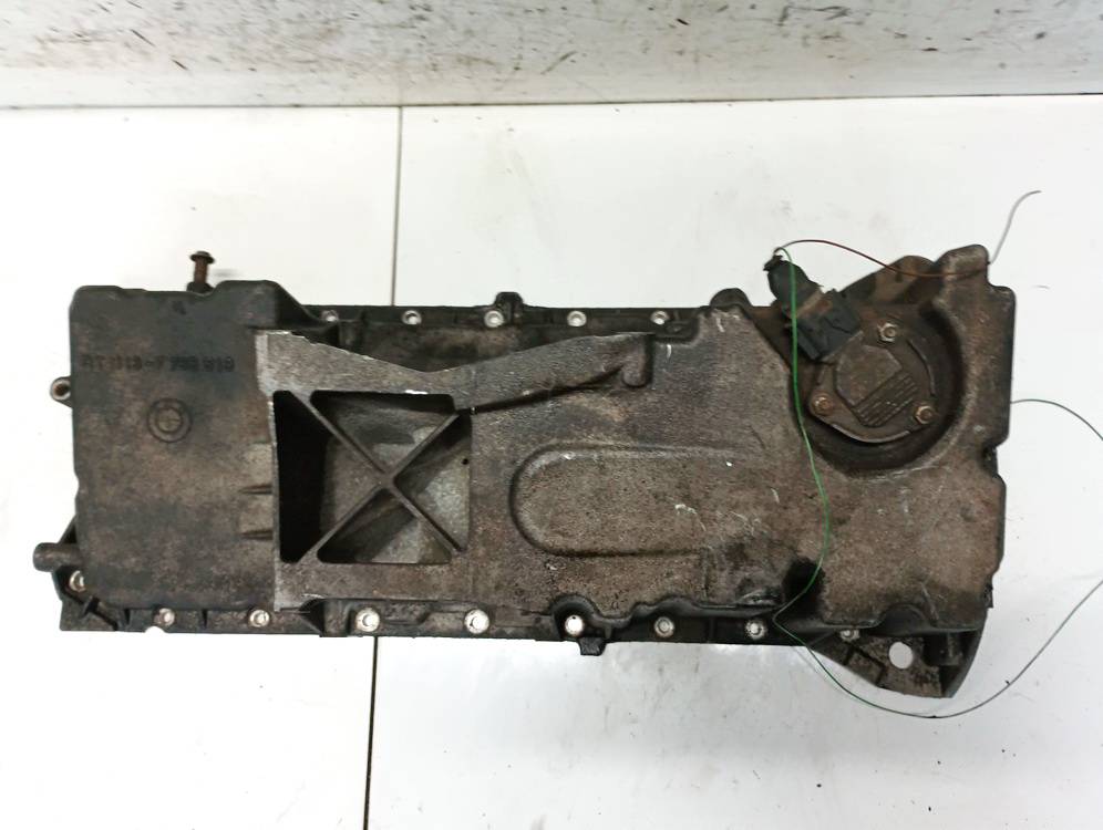 11137785519 BMW 3-Series 2002 Variklio karteris