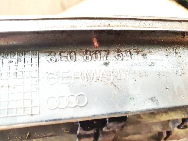 8E0807647 Audi A4 2002 Hood grille - FRONT - Thumbnail 3