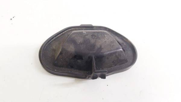 15619200 Opel Signum 2003 Luktura spuldzes putekļu vāciņš