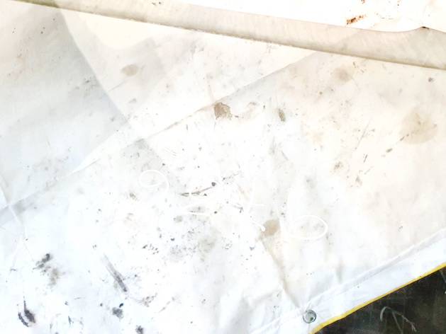 DOT24AS2M68 Mitsubishi Colt 2011 Vitre de Porte Avant Droite - Thumbnail 3