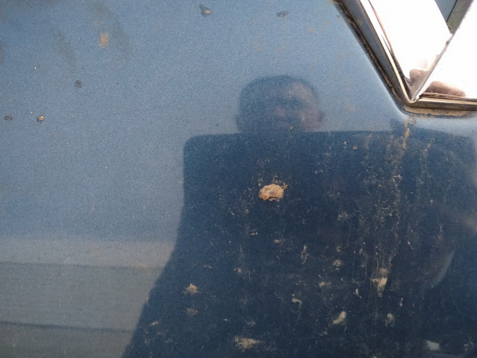 Renault Laguna 1995 Kapotas (Variklio dangtis) - Thumbnail 2