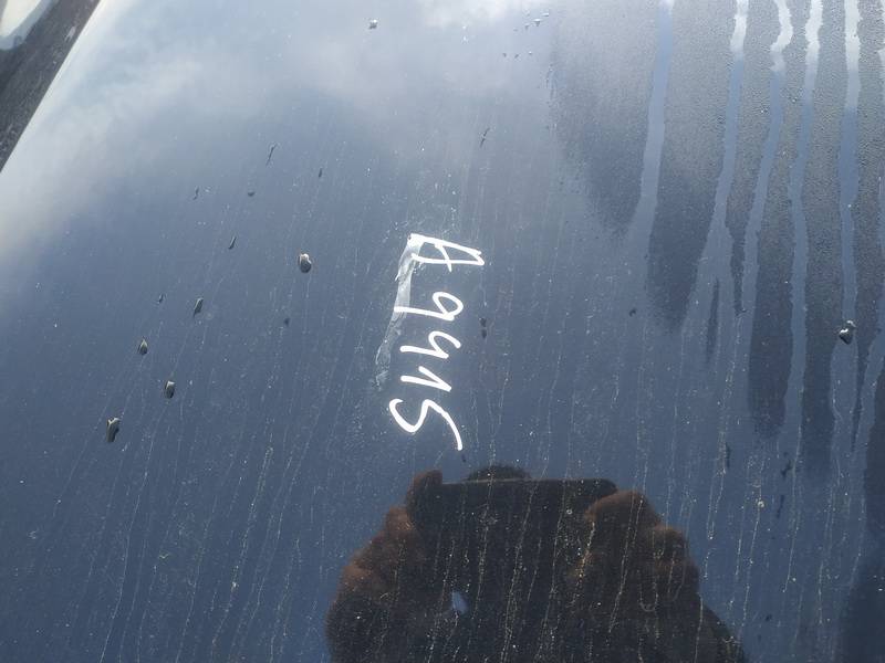 JUODAS Volkswagen Passat 2009 Hood - Thumbnail 3