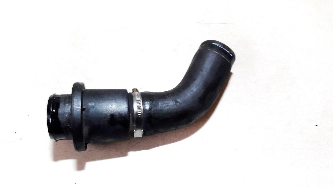 Ford Focus 2005 Interkulerio zarna -  slanga